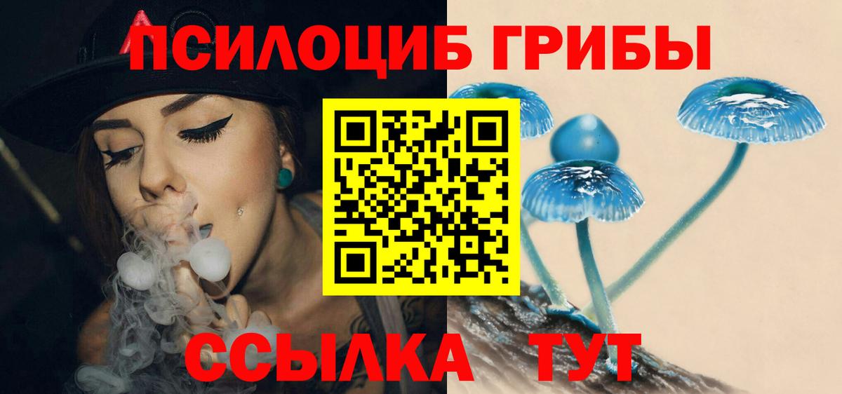 Галлюциногенные грибы ЛСД  купить наркотик  Галлюциногенные грибы Psilocybine cubensis  Тула  Вход с VPN 