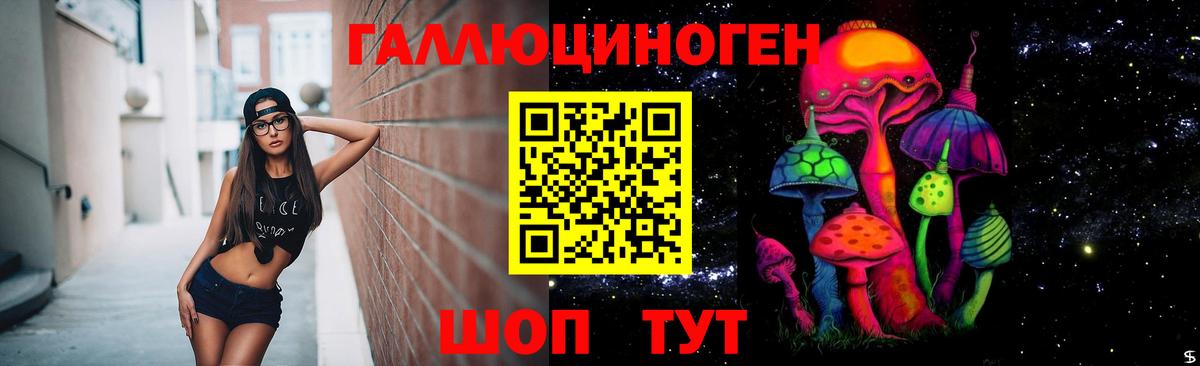 Псилоцибиновые грибы Psilocybe Тула